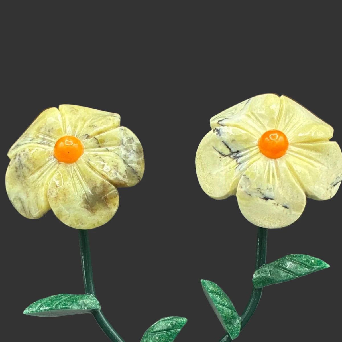Close up of the green opal flowers, in front of a black background.