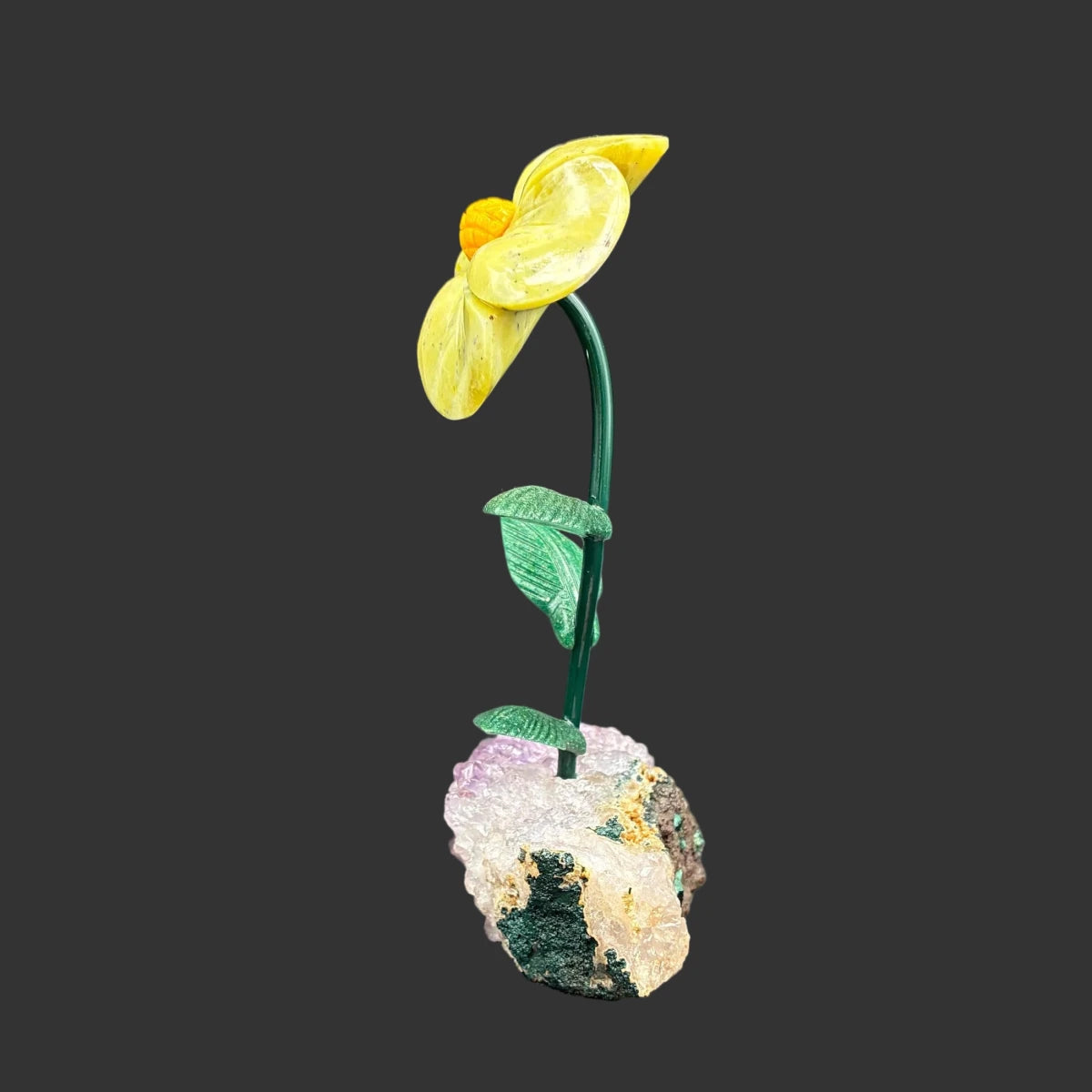 Side view of this green opal daisy, in front of a black background.