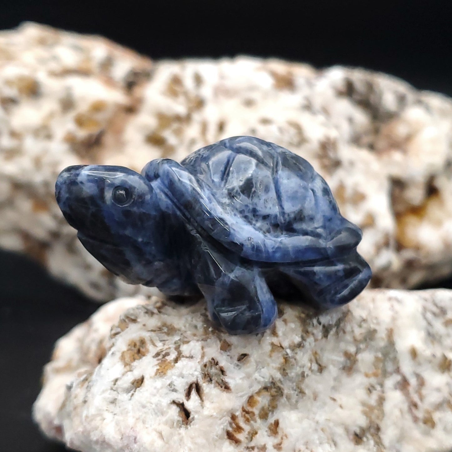 Carved Stone Animal Figurine 2 - inch Mineral Turtle Aventurine Howlite Labradorite Obsidian Opalite Quartz