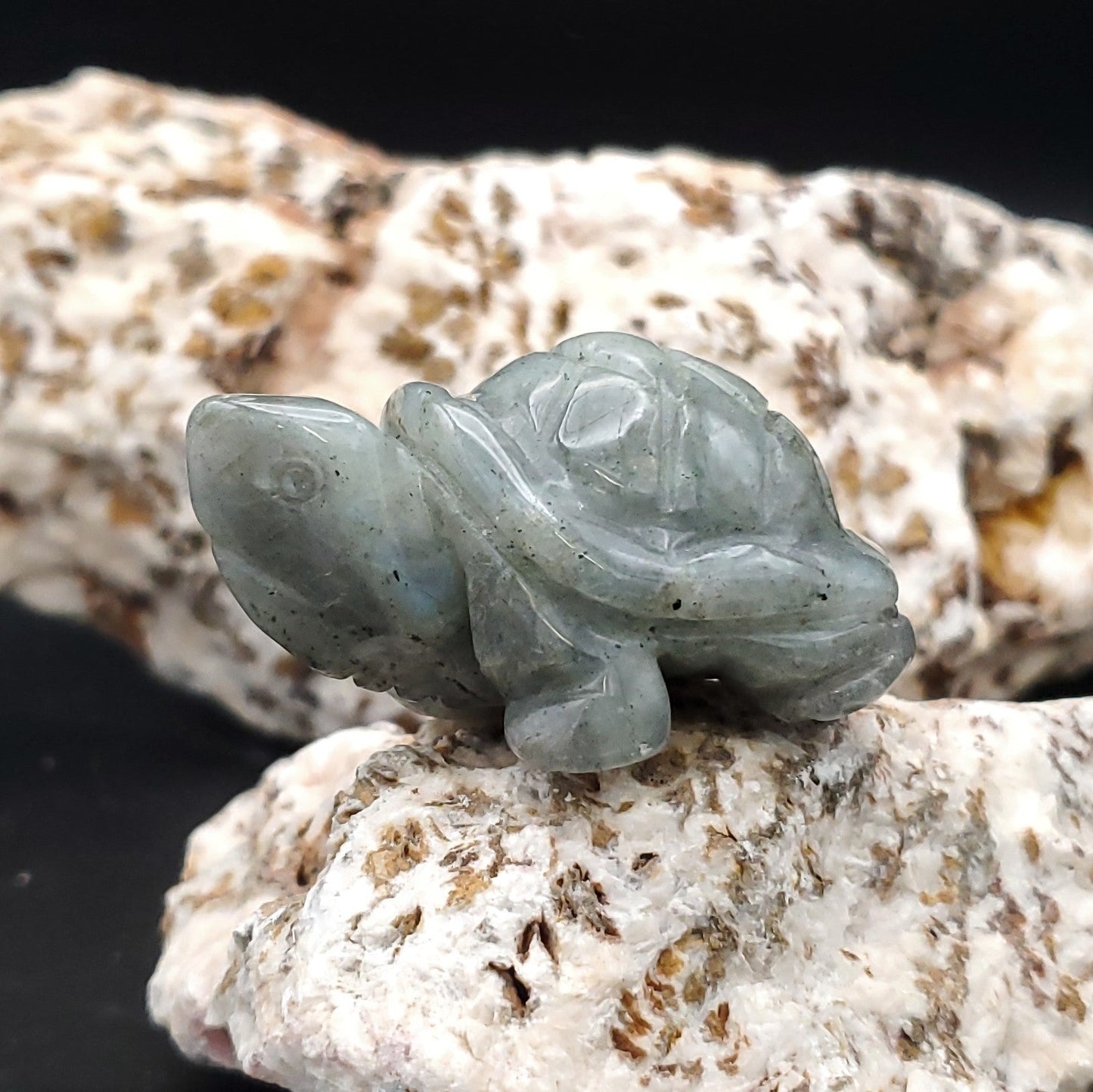 Carved Stone Animal Figurine 2 - inch Mineral Turtle Aventurine Howlite Labradorite Obsidian Opalite Quartz