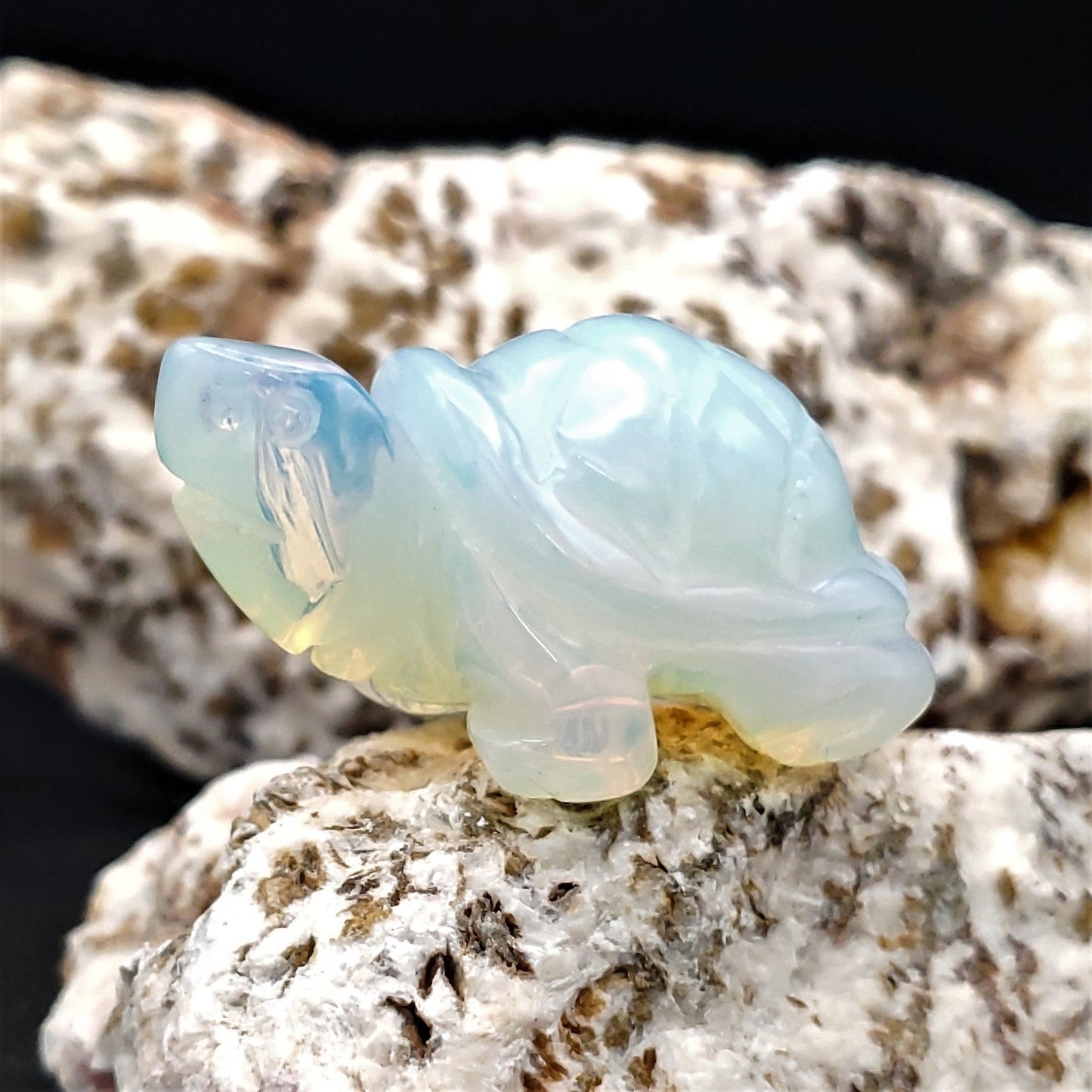 Carved Stone Animal Figurine 2 - inch Mineral Turtle Aventurine Howlite Labradorite Obsidian Opalite Quartz