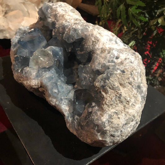 Celestite Geode Large Celestine Mineral Specimen