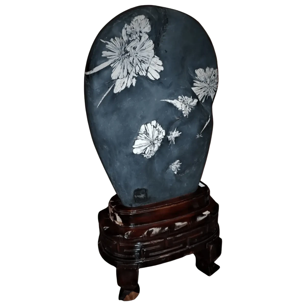 Chrysanthemum Stone on Wood Base