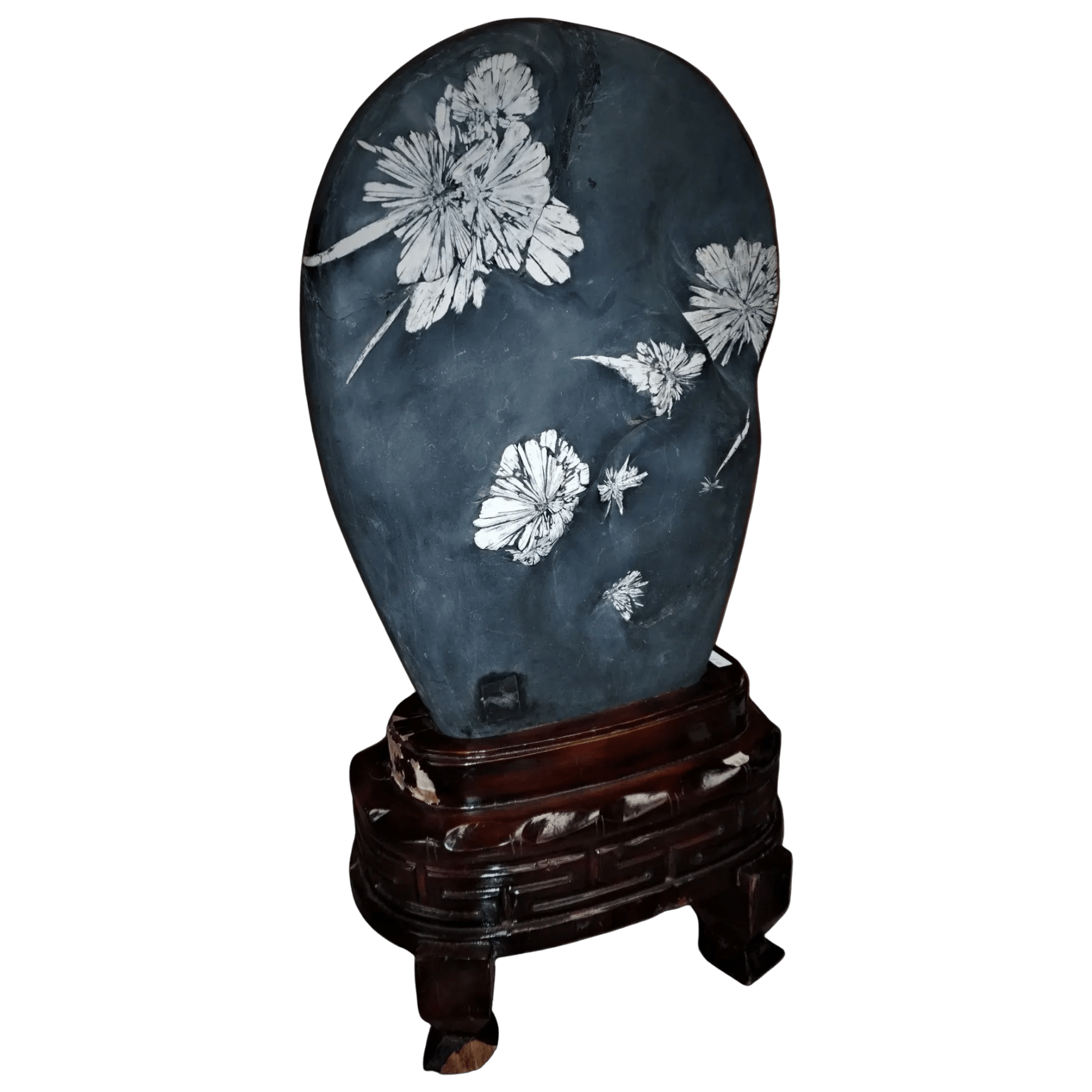 Chrysanthemum Stone on Wood Base