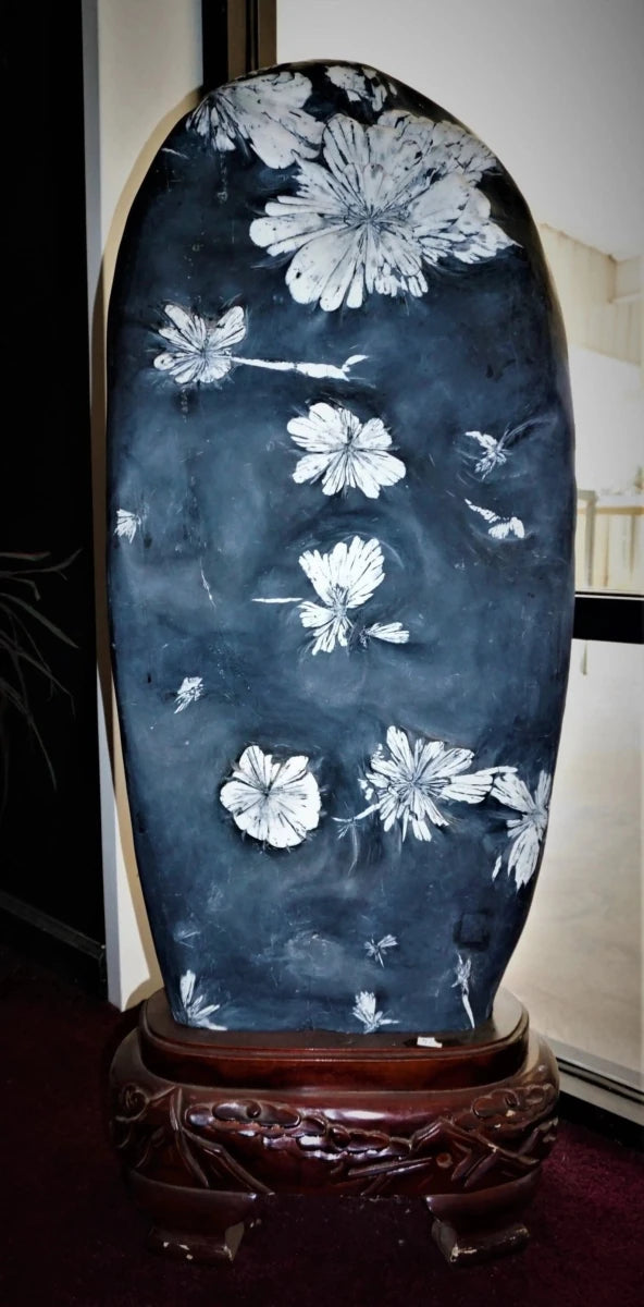 Chrysanthemum Stone on wood base in front of a window