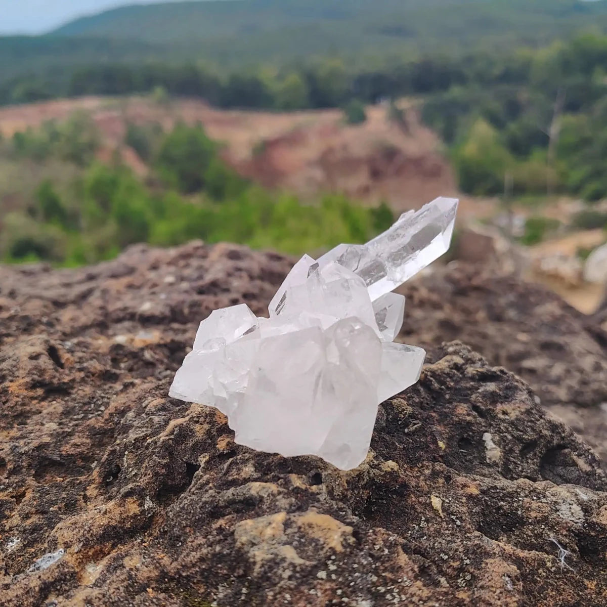 This is the left side of this small Quartz cluster