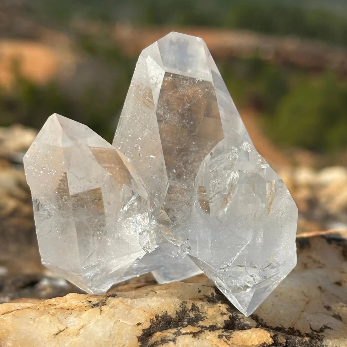 Double Terminated Point On A Cluster Of Crystals sitting on a rock with trees and a dirt road in the background