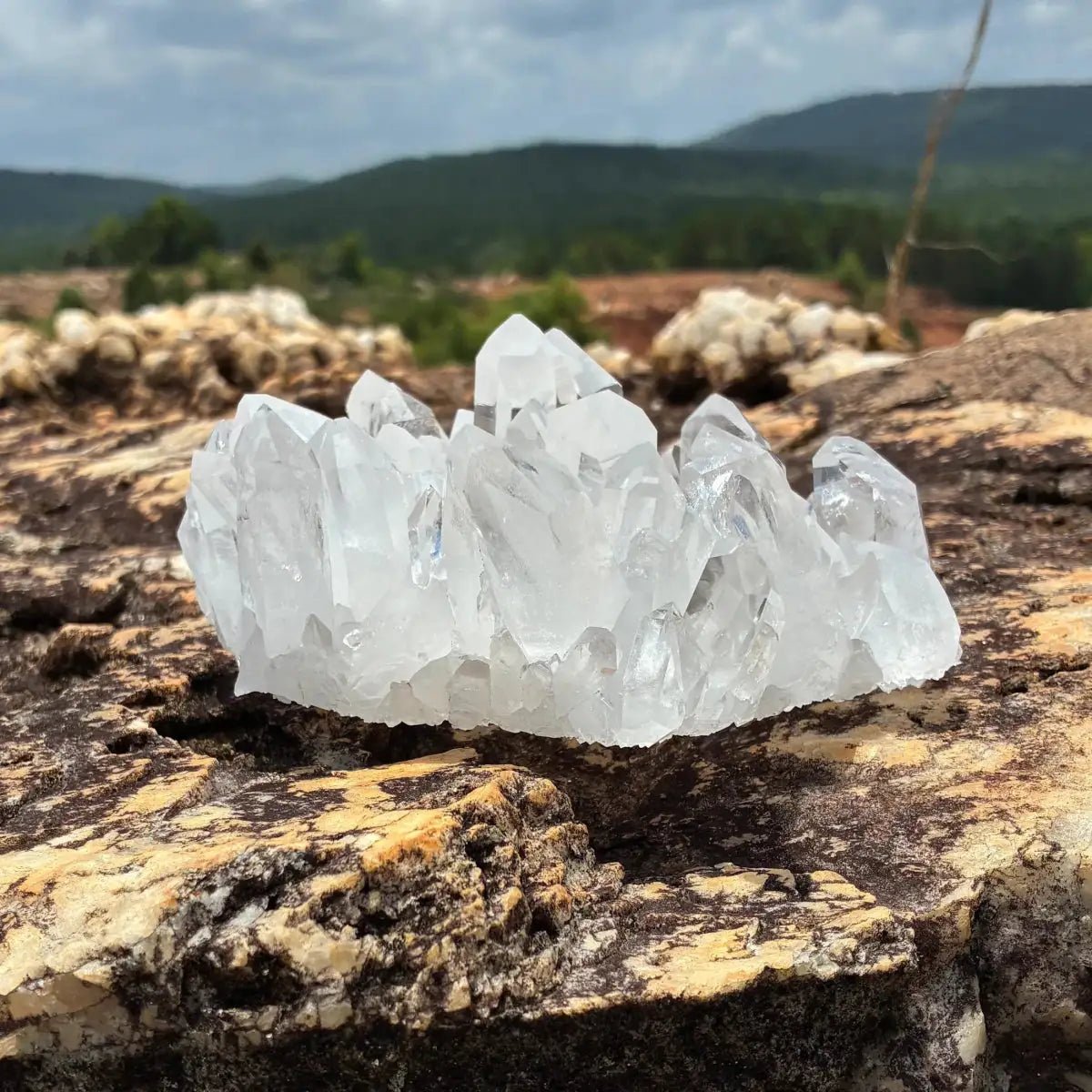 Front side of this clear Quartz crystal cluster, in a outdoor setting.