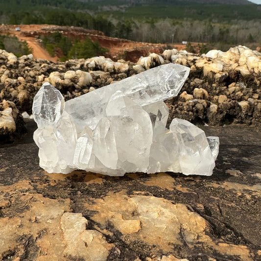 Cl er quartz cluster 5 inches long on a boulder