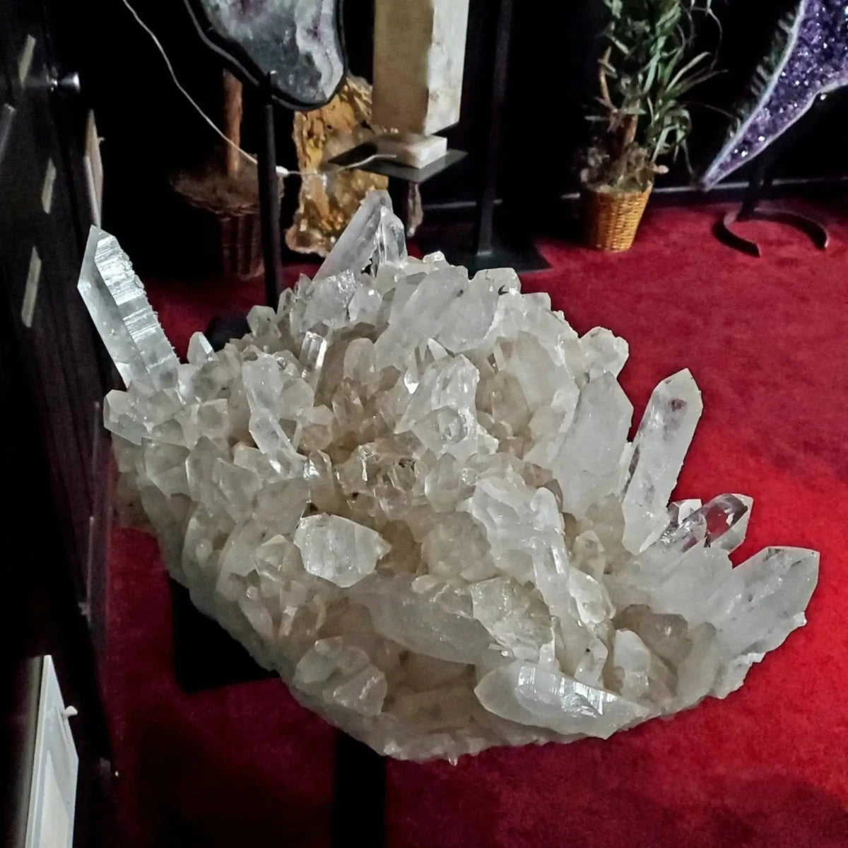 Collector Grade Large Arkansas Clear Quartz Crystal Cluster On Stand