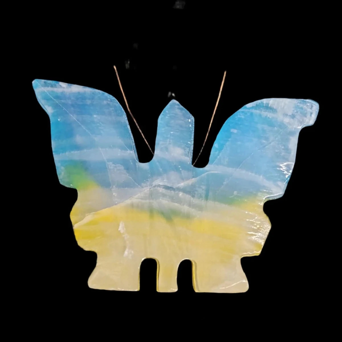 This is the back side of this rainbow butterfly