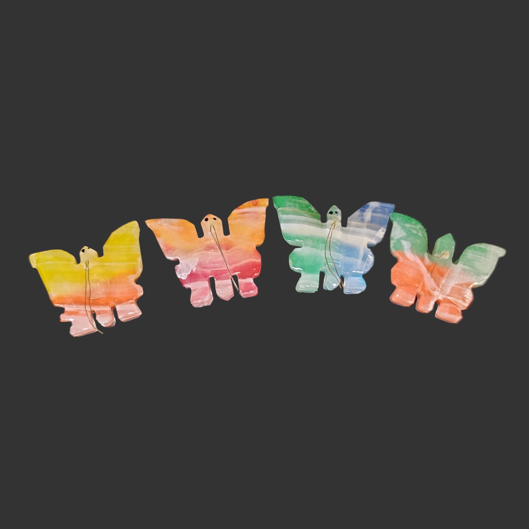 This is an example of the different colors and patterns of the colorful onyx butterflies.