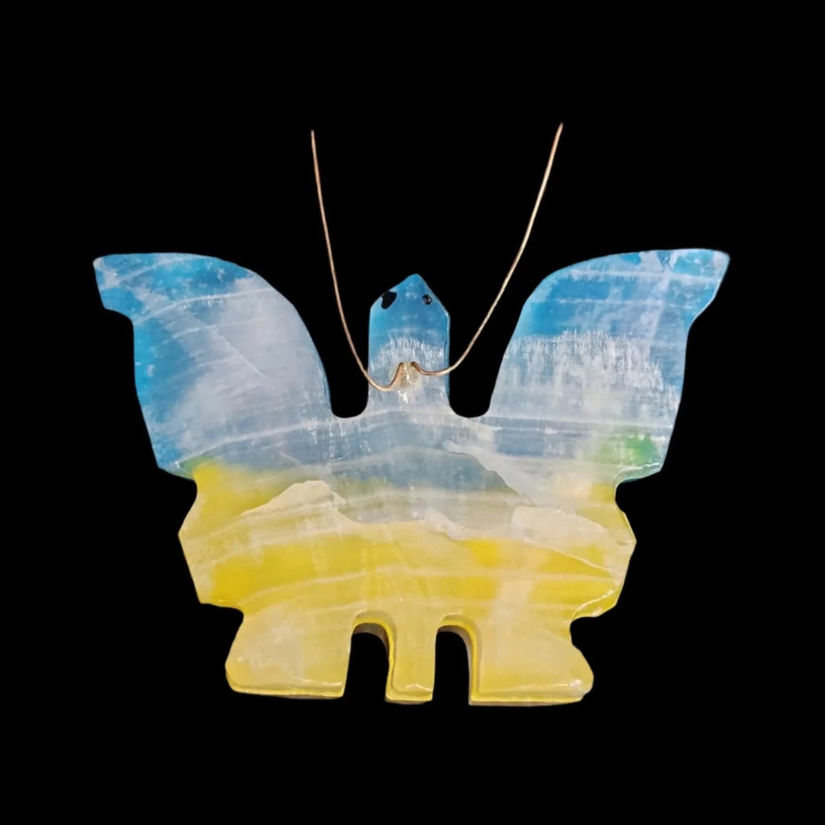 This is the front side of this colorful rainbow butterfly 