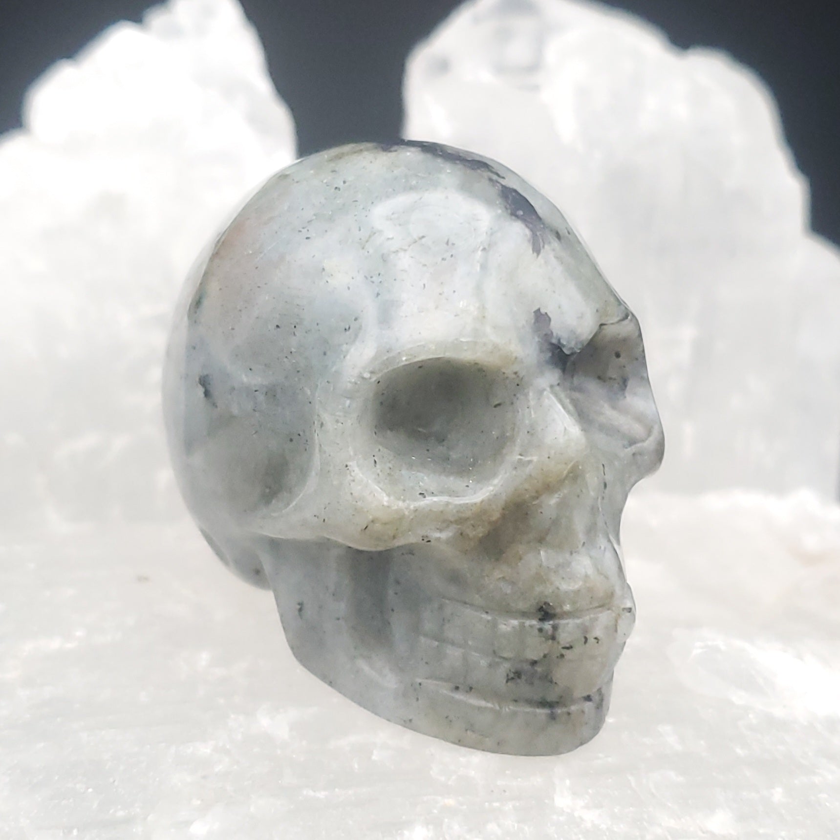 LARGE Roe Spotted newest Stone Skull Carvings