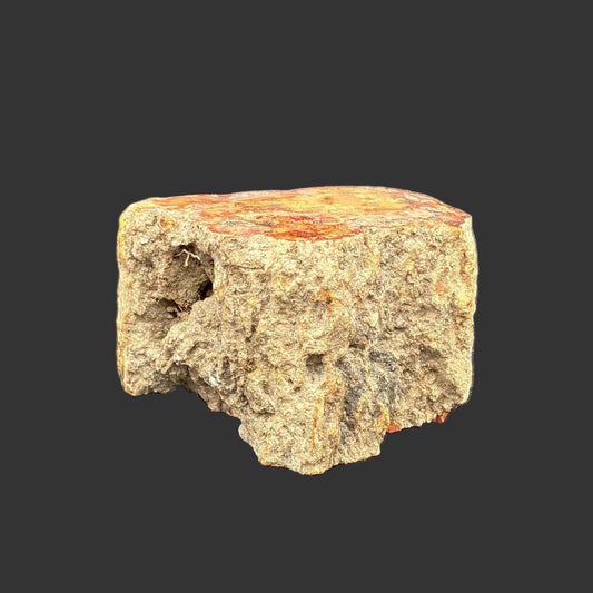 Front side of this petrified wood stump, in front of a black background.