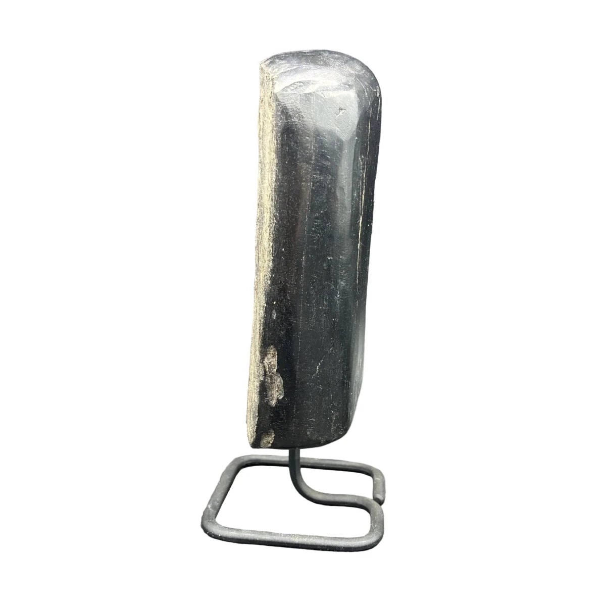 Left side of this petrified wood on a stand, in front of a white background.
