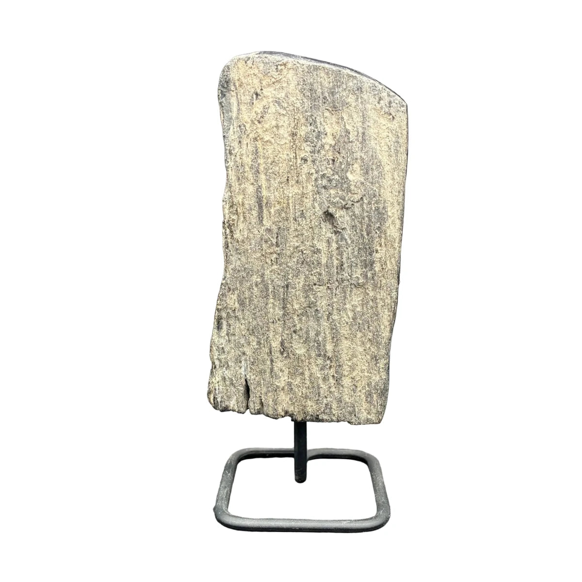 Front side of this petrified wood on a stand.