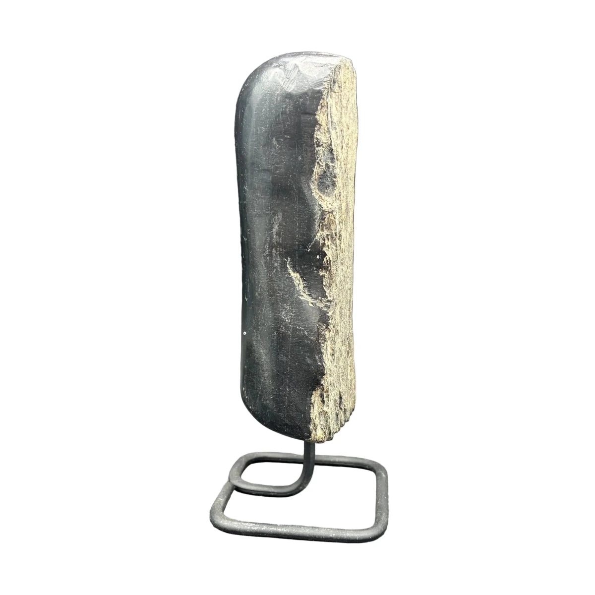 Right side of this petrified wood on a stand, in front of a white background.