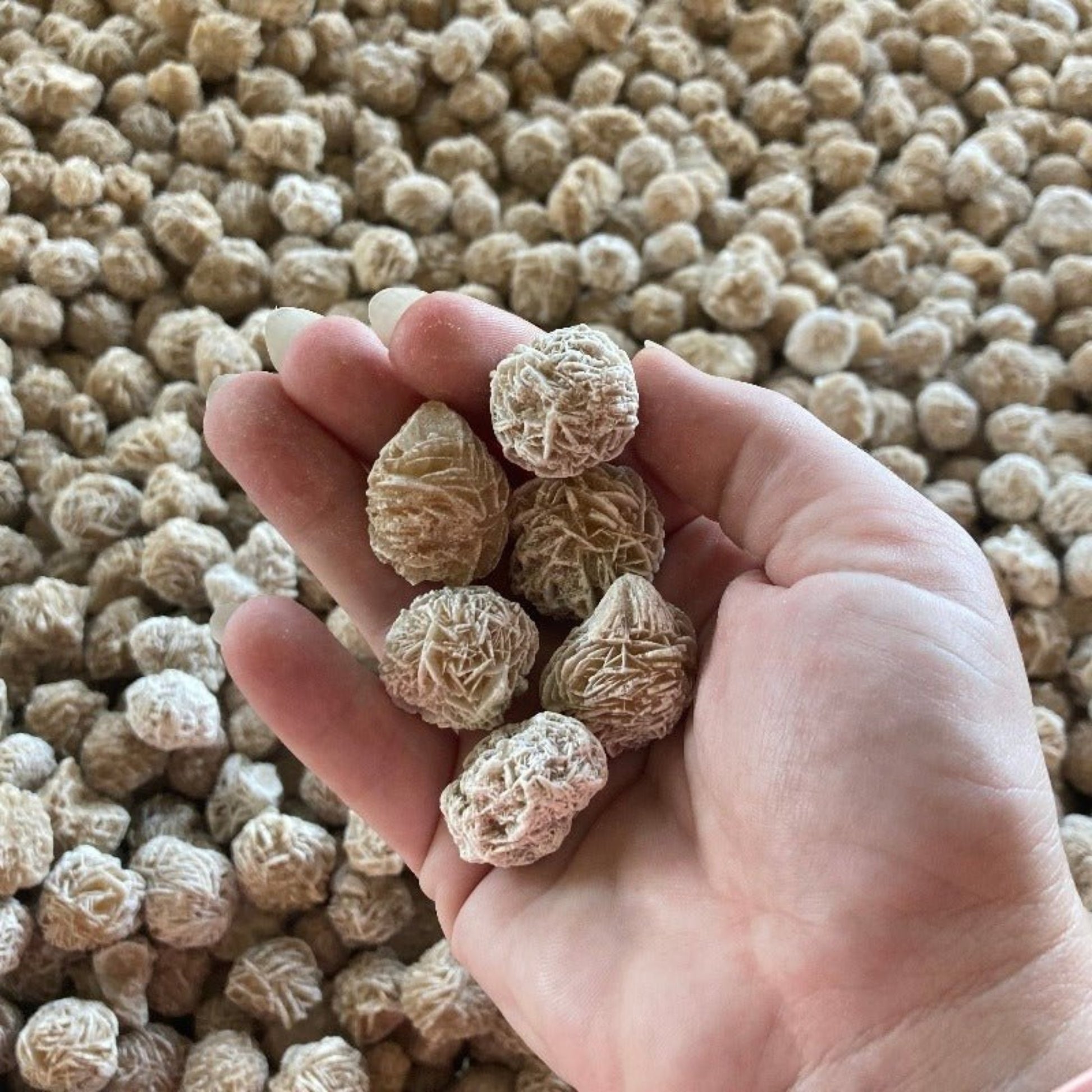 Desert Rose Rock For Sale Sand Selenite