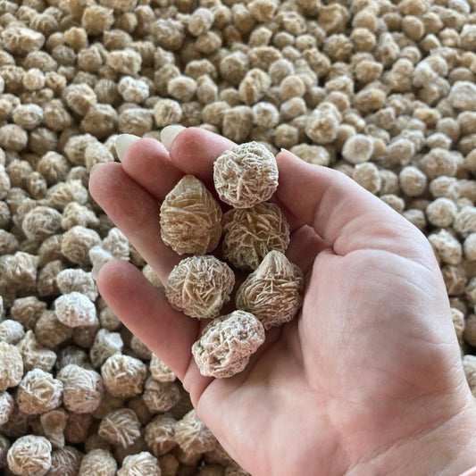 Desert Rose Rock For Sale Sand Selenite