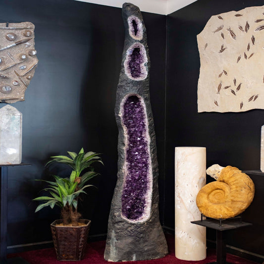 Discover The Beauty Of A Huge Amethyst Geode Crystal Specimen