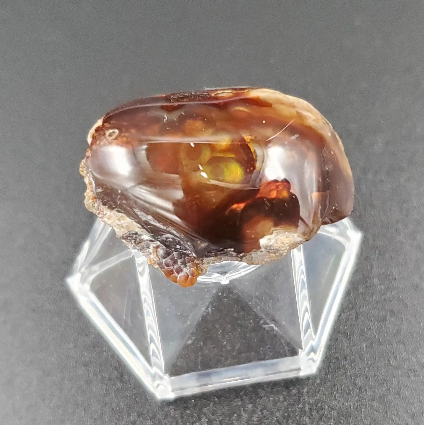 Fire Agate Polished Side On Plastic Display