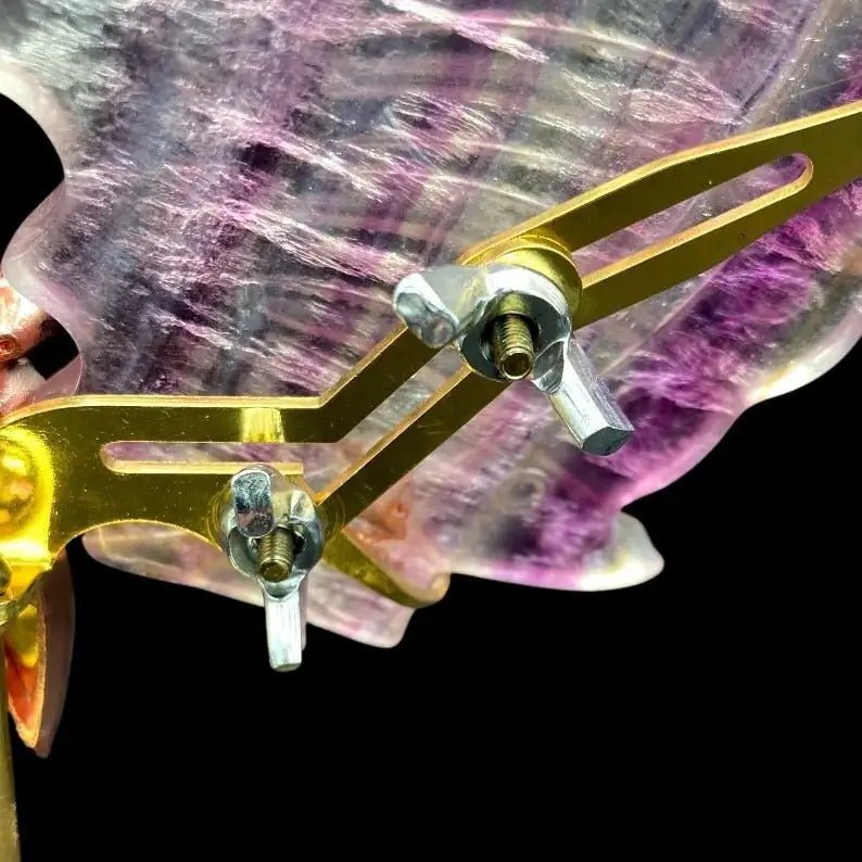 Close Up of Back Of Fluorite Butterfly On Stand