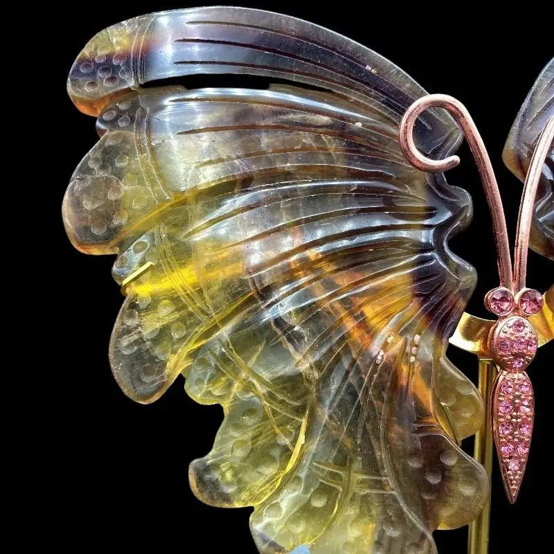 Close Up Of Butterfly Wing
