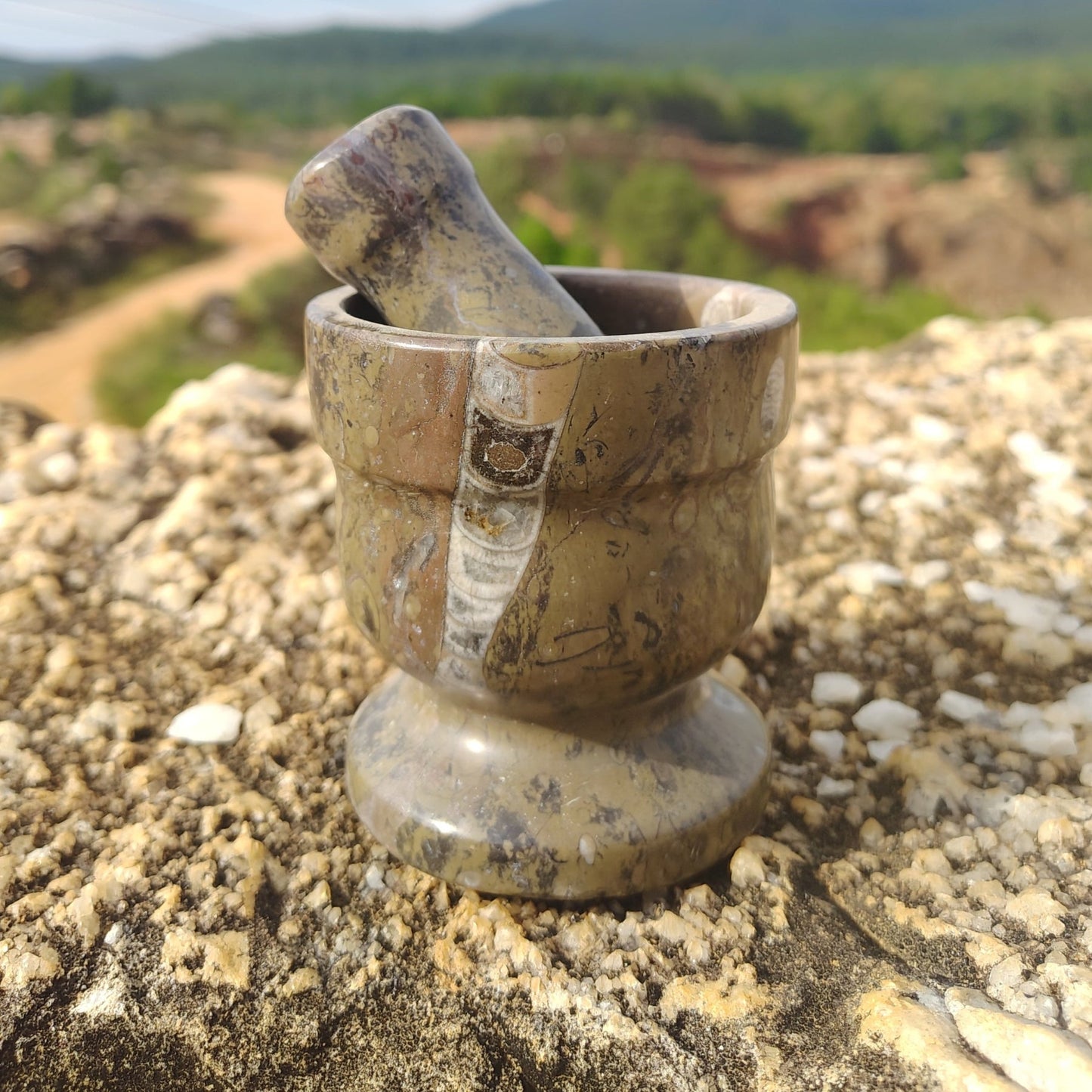 This is the fossil mortar and pestle in natural light outside, in front of the Ron Coleman crystal mine