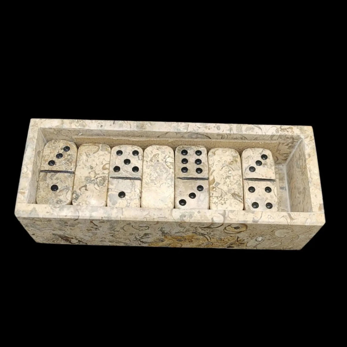 This is a view of the dominos inside the case