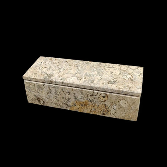 This is the front side of the case to this fossil Onyx domino set