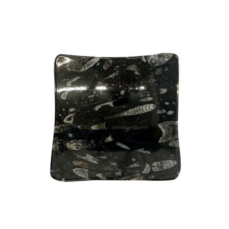 Fossil Plate Square Black Carved Stone Home Decor