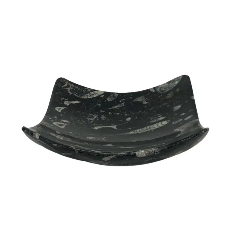 Fossil Plate Square Black Carved Stone Home Decor overview