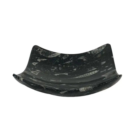 Fossil Plate Square Black Carved Stone Home Decor overview