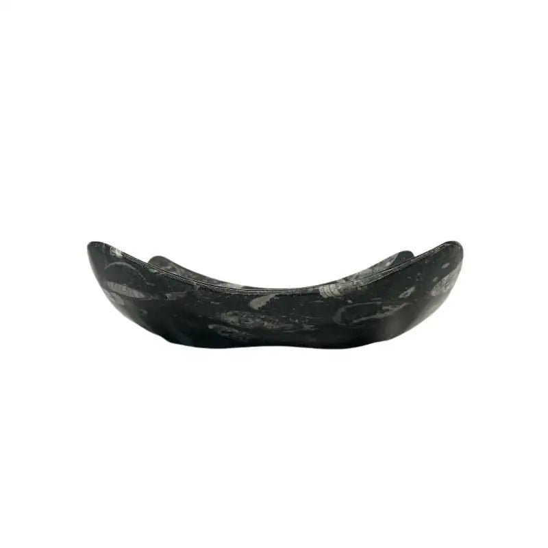 Fossil Plate Square Black Carved Stone Home Decor side view