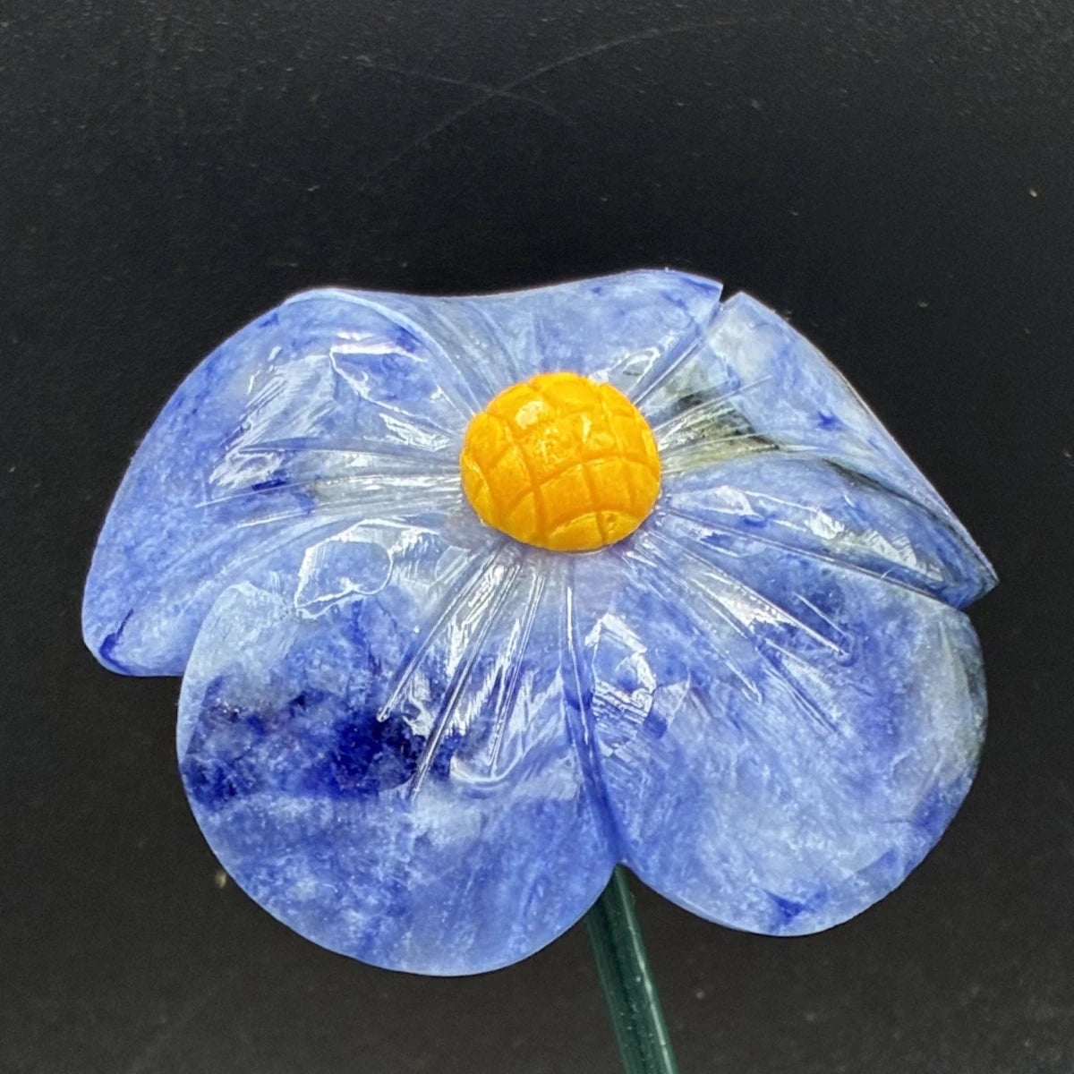 Close up of the blue sodalite flower, in front of a black background.