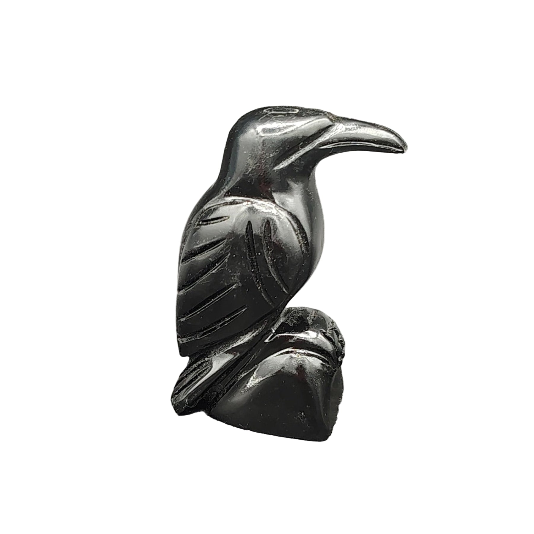 This is the right side of this polished hand carved black onyx raven.