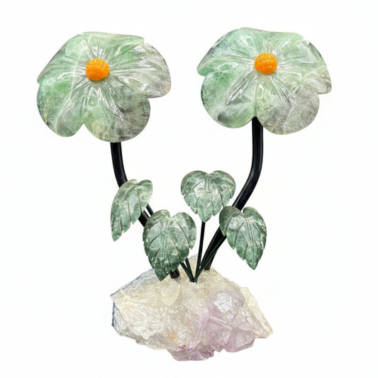 Front side of this double fluorite daisy on a purple amethyst base, in front of a white background.
