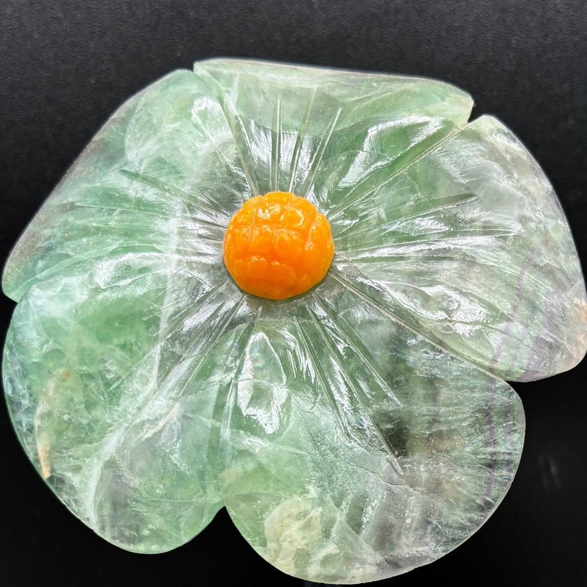 Close up of the fluorite daisy flower in front of a black background.