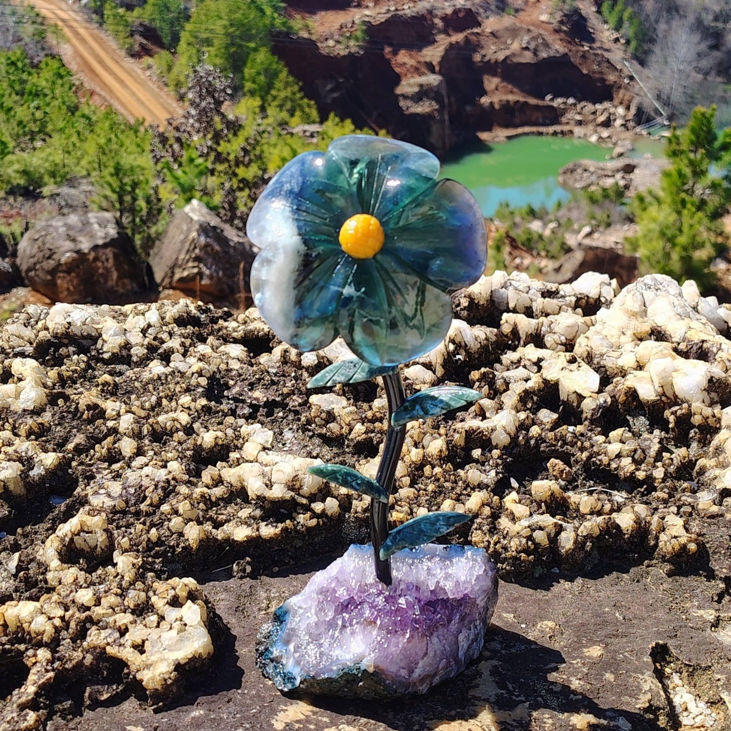 This is the Fluorite daisy in natural outdoor light 