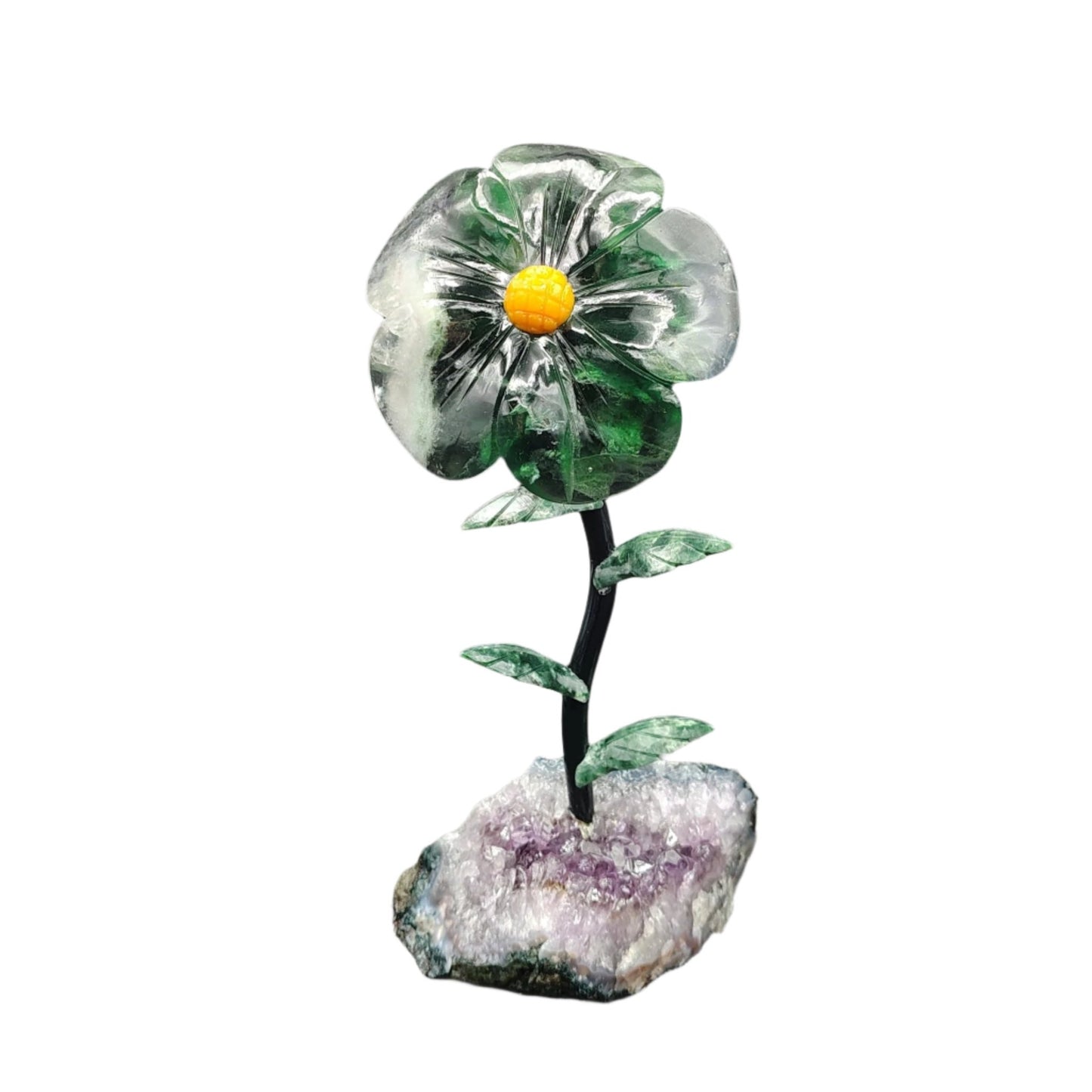 This is the Fluorite daisy in artificial lighting