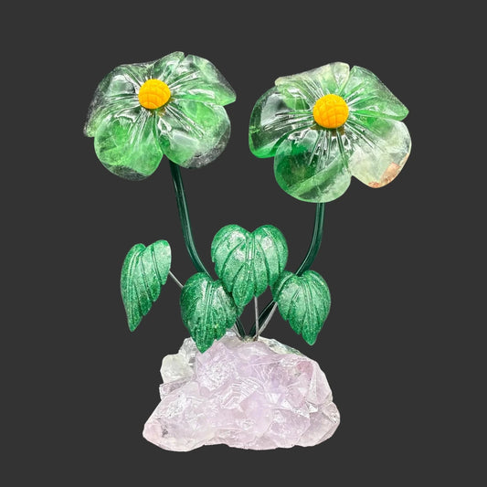 Front side of this double Fluorite daisy flower on a Amethyst base, in front of a black background.