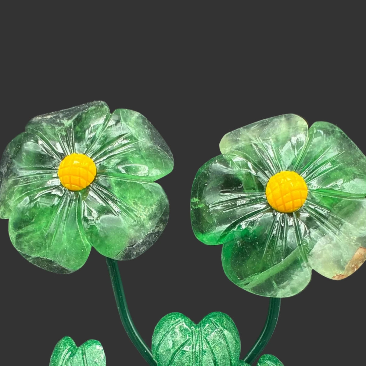 Close up of the green Fluorite daisy's, in front of a black background.
