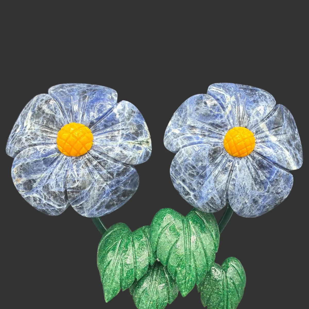 Close up of the sodalite daisy flowers, in front of a black background.