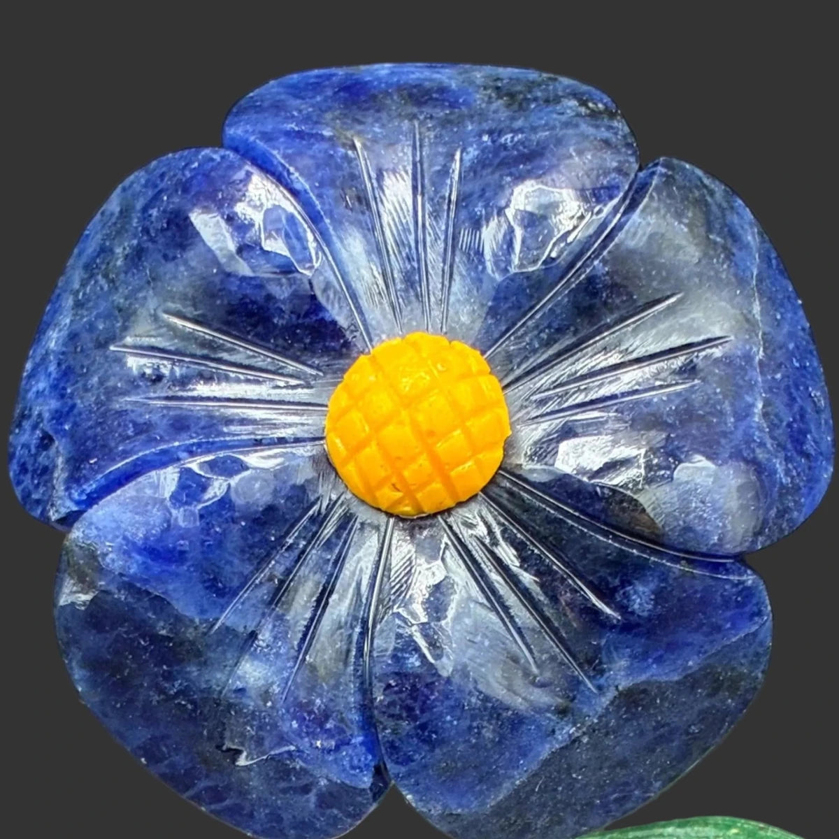 Close up of the polished Sodalite daisy, in front of a black background.
