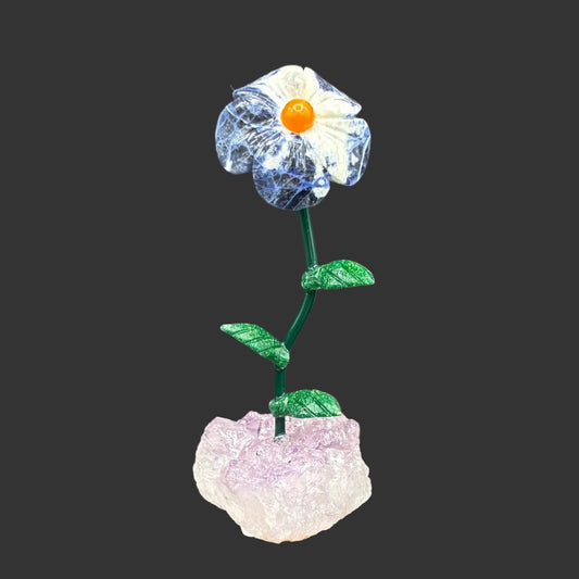 Front side of this sodalite daisy on a amethyst crystal base, in front of a black background.