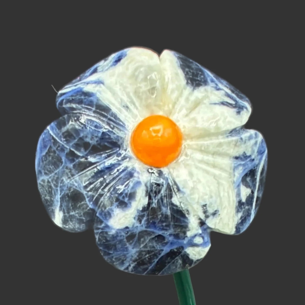Close up of the sodalite daisy flower, in front of a black background.