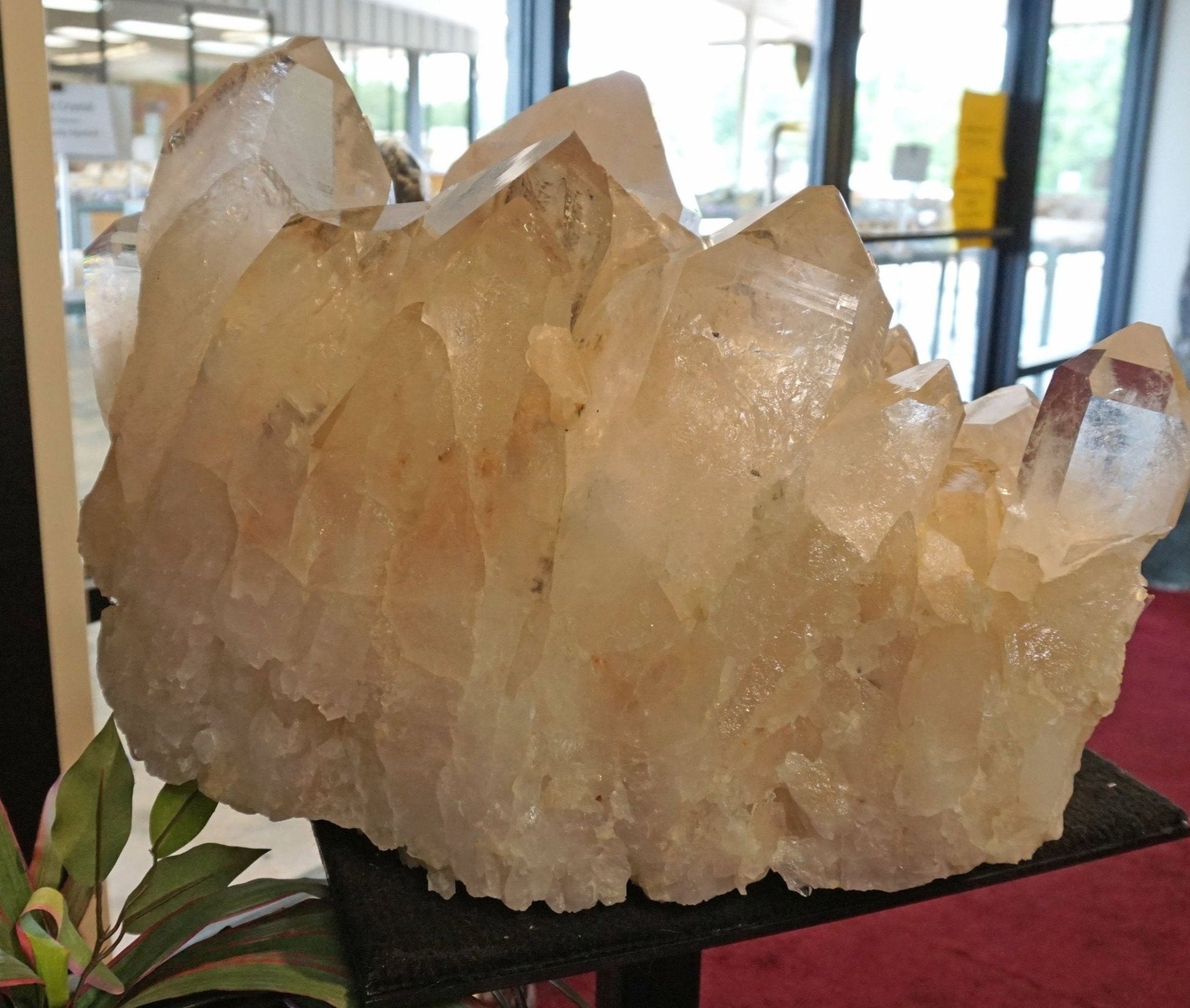 Huge Arkansas Clear Crystal Cluster Poolside Decor