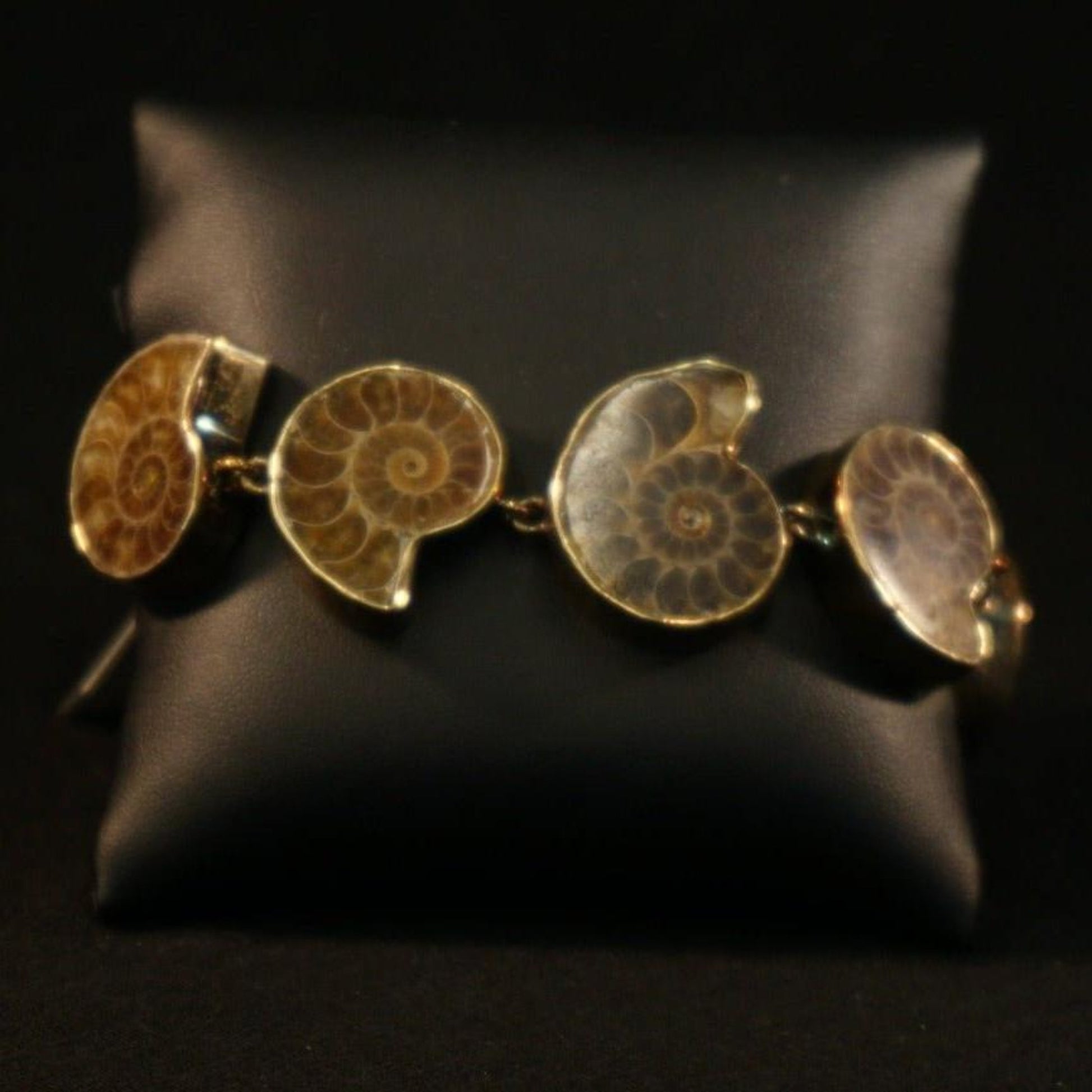 Jewelry Ammonite Fossil Bracelet