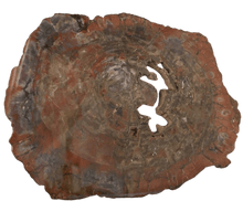 Load image into Gallery viewer, Large Arizona Petrified Wood Specimen
